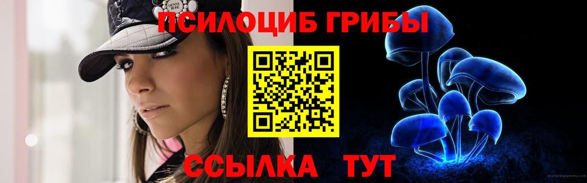 Псилоцибиновые грибы Magic Shrooms Тихорецк